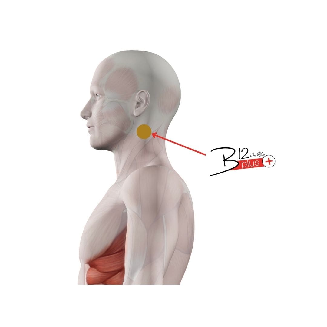 B12-Plus-Comment-utiliser-min