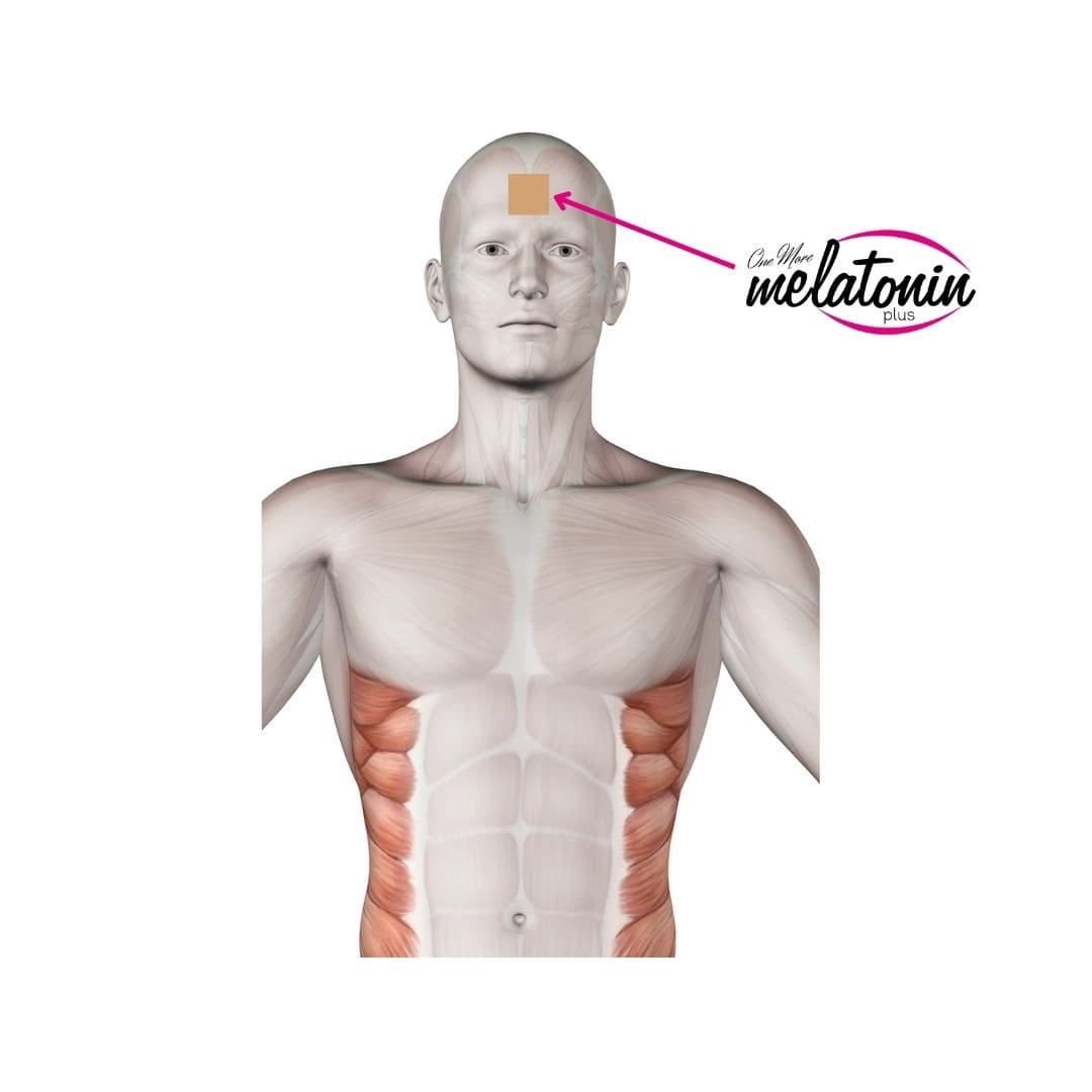 One More Wellness Team Melatonin-Plus-nasil kullanilir